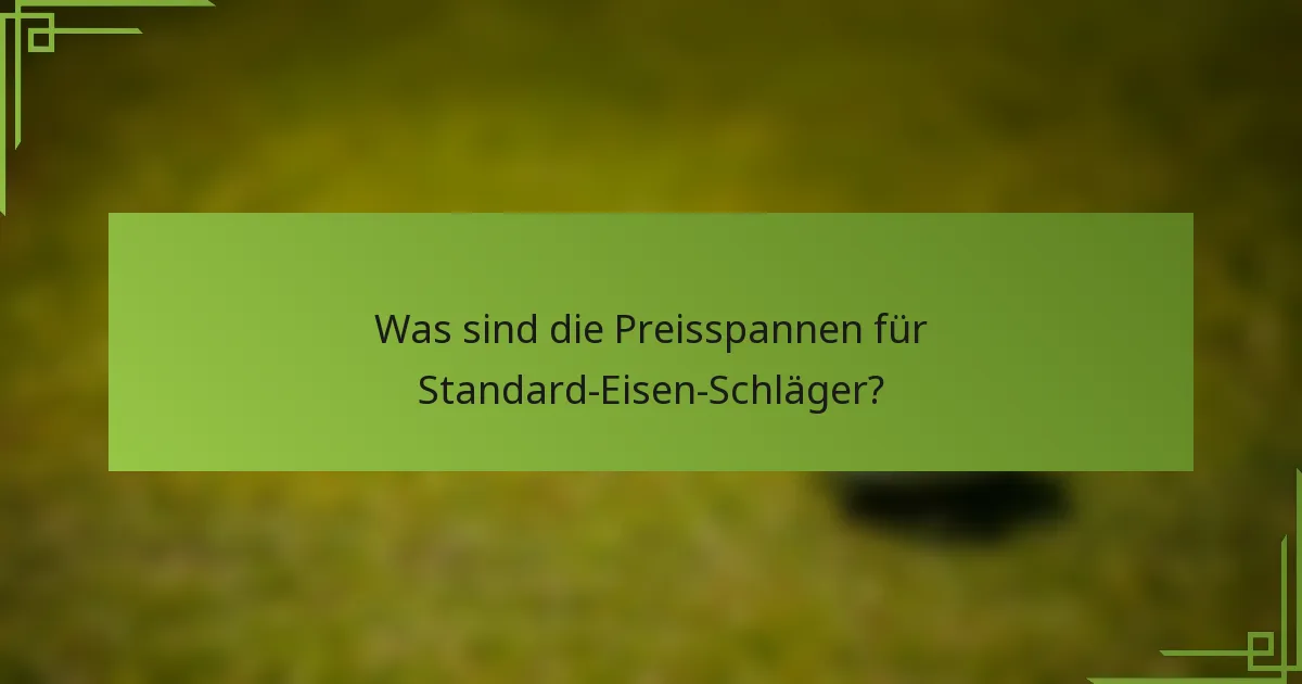 Was sind die Preisspannen für Standard-Eisen-Schläger?