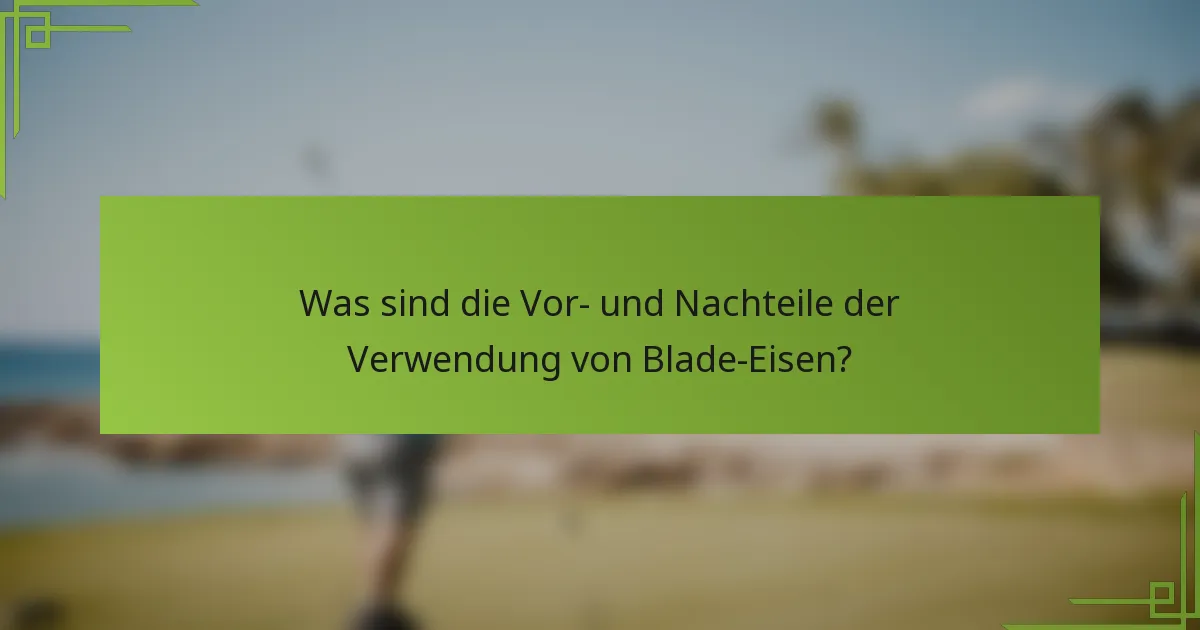 Was sind die Vor- und Nachteile der Verwendung von Blade-Eisen?