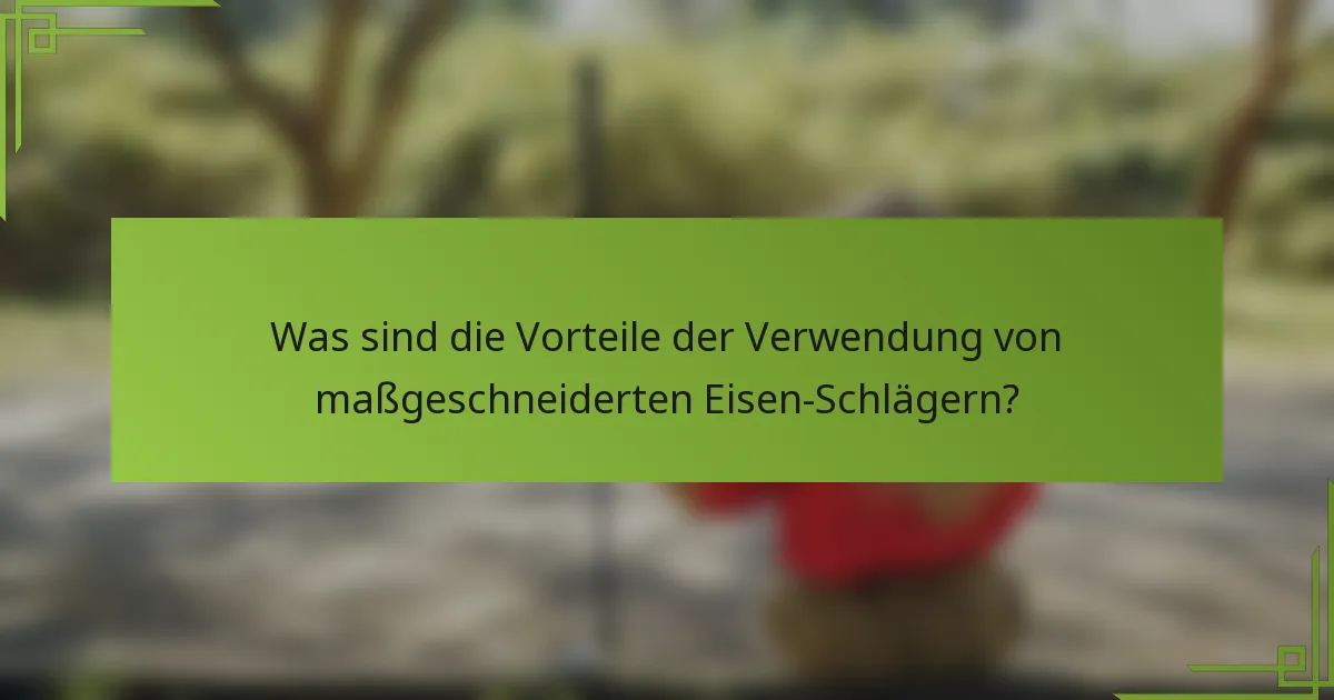 Was sind die Vorteile der Verwendung von maßgeschneiderten Eisen-Schlägern?