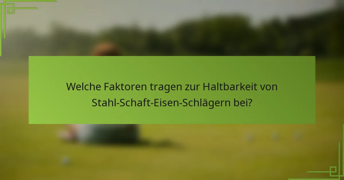 Welche Faktoren tragen zur Haltbarkeit von Stahl-Schaft-Eisen-Schlägern bei?