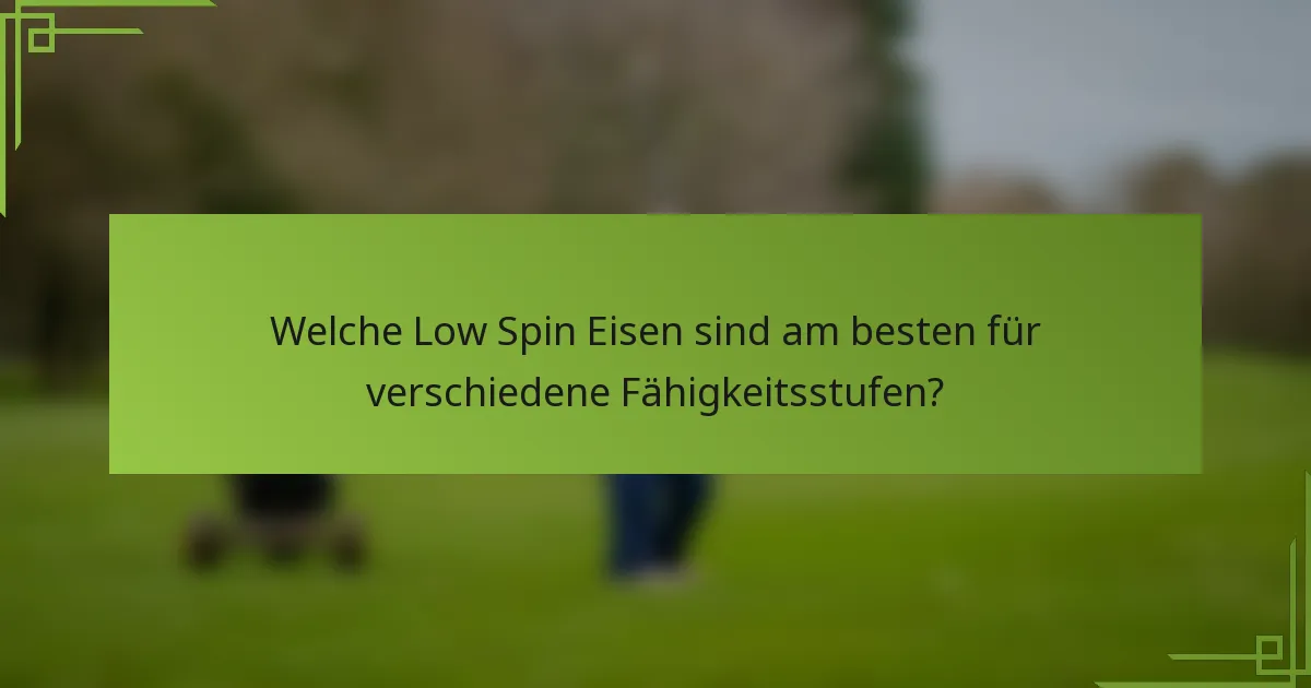 Welche Low Spin Eisen sind am besten für verschiedene Fähigkeitsstufen?