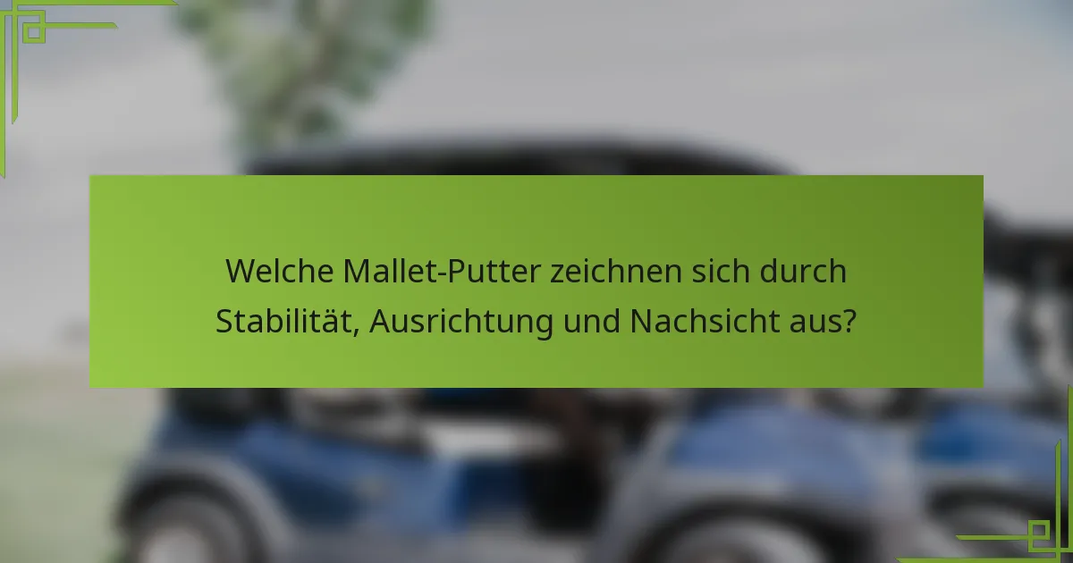 Welche Mallet-Putter zeichnen sich durch Stabilität, Ausrichtung und Nachsicht aus?