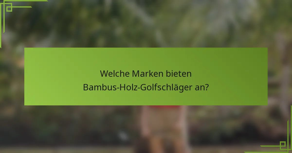 Welche Marken bieten Bambus-Holz-Golfschläger an?