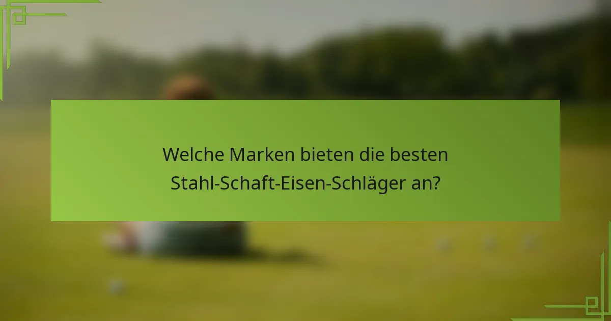 Welche Marken bieten die besten Stahl-Schaft-Eisen-Schläger an?