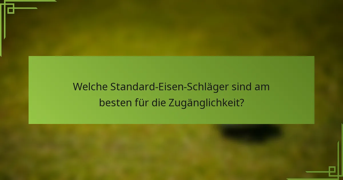 Welche Standard-Eisen-Schläger sind am besten für die Zugänglichkeit?