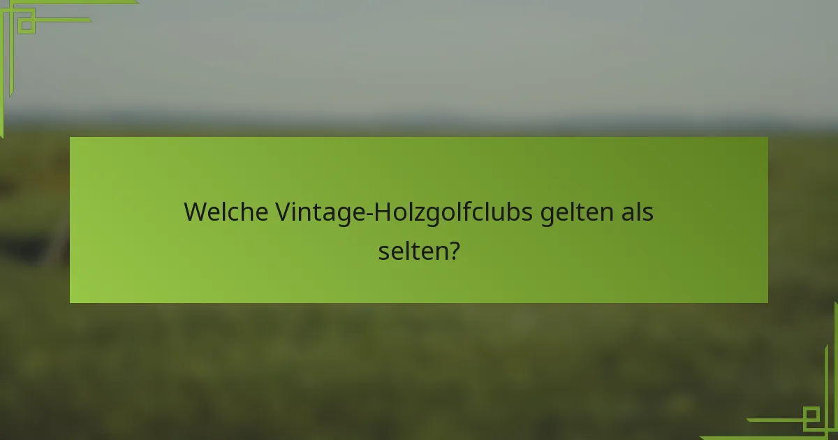 Welche Vintage-Holzgolfclubs gelten als selten?