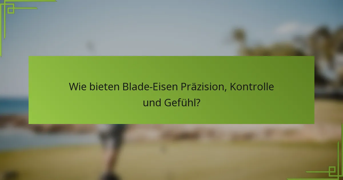 Wie bieten Blade-Eisen Präzision, Kontrolle und Gefühl?